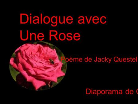 Dialogue avec Une Rose Poème de Jacky Questel Diaporama de Gi.