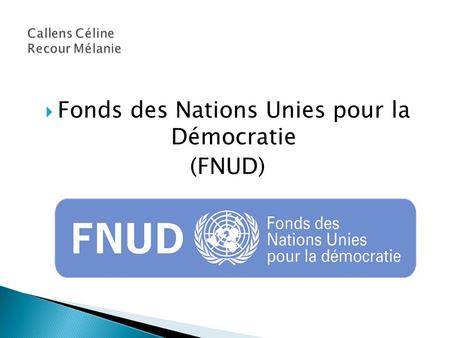  Fonds des Nations Unies pour la Démocratie (FNUD)