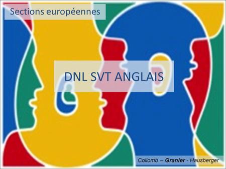 DNL SVT ANGLAIS Sections européennes Collomb – Granier - Hausberger