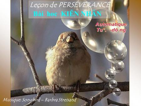 Leçon de PERSÉVERANCE Bài hoc KIÊN NHÂN Musique: Songbird – Barbra Streisand.