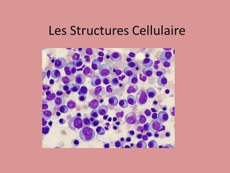 Les Structures Cellulaire