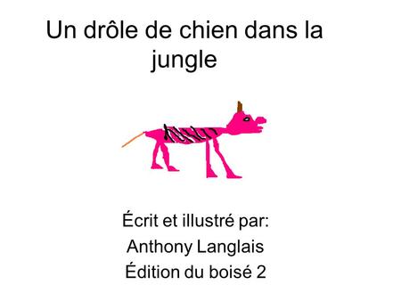 Un drôle de chien dans la jungle Écrit et illustré par: Anthony Langlais Édition du boisé 2.