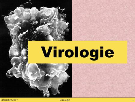 Virologie décembre 2007 Virologie.