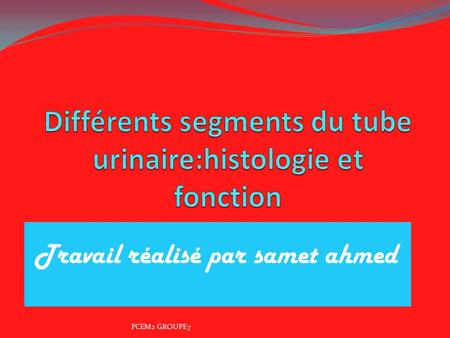 Différents segments du tube urinaire:histologie et fonction