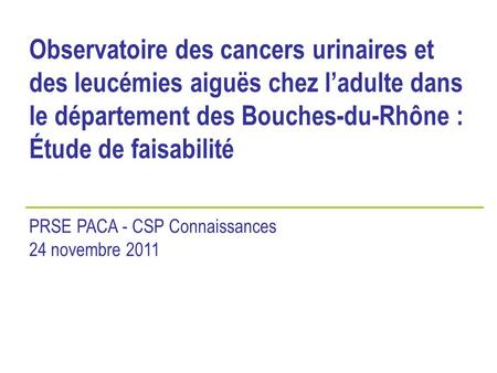 Observatoire des cancers urinaires et des leucémies aiguës chez l’adulte dans le département des Bouches-du-Rhône : Étude de faisabilité PRSE PACA - CSP.