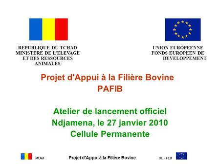 Projet d'Appui à la Filière Bovine PAFIB Atelier de lancement officiel