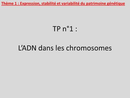 TP n°1 : L’ADN dans les chromosomes
