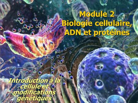 Module 2 Biologie cellulaire, ADN et protéines