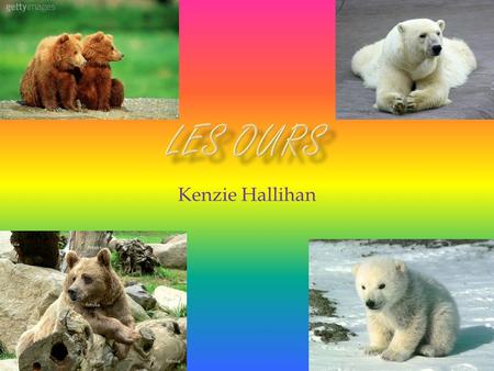 Kenzie Hallihan  Les ours polaire. Les ours polaire besoin de laid est rechauffement de la planete est de reduire le montant de la banquise dans l’Arctique.Qui.