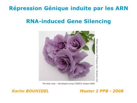 Répression Génique induite par les ARN RNA-induced Gene Silencing
