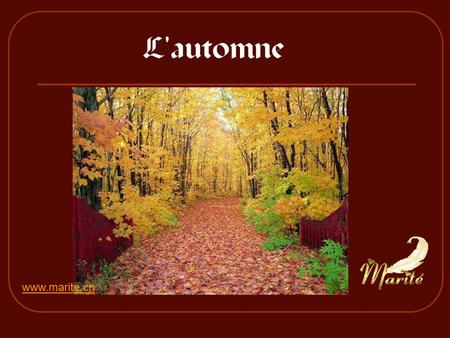 L'automne www.marite.ch.