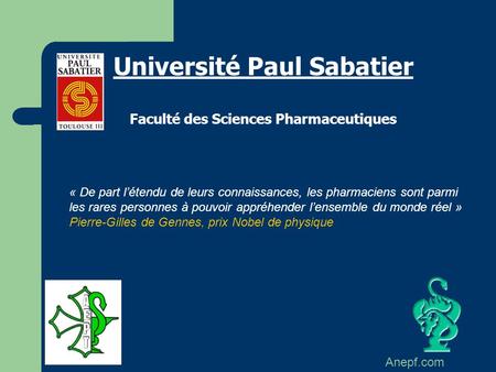 Université Paul Sabatier Faculté des Sciences Pharmaceutiques