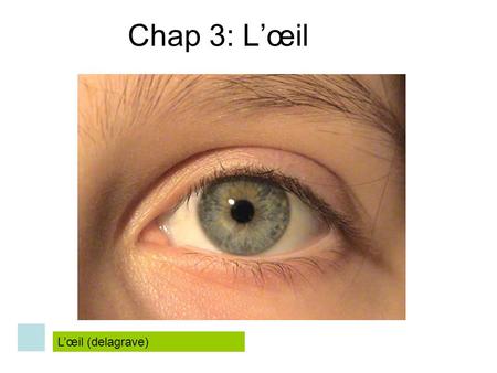 Chap 3: L’œil L’œil (delagrave).