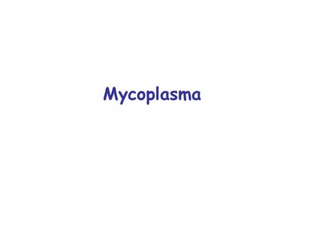 Mycoplasma.