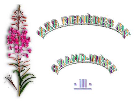 MES REMÈDES DE GRAND-MÈRE - III -.