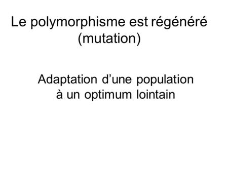 Le polymorphisme est régénéré (mutation)