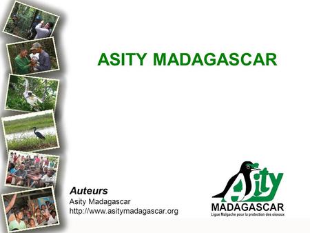 ASITY MADAGASCAR Auteurs Asity Madagascar