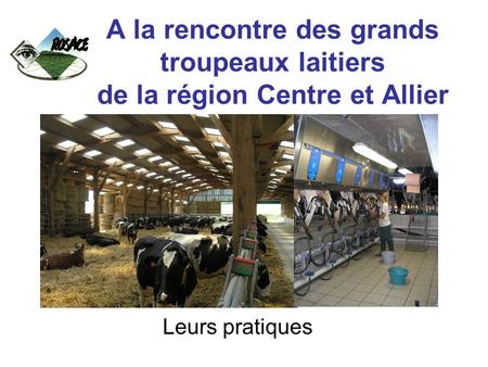 A la rencontre des grands troupeaux laitiers de la région Centre et Allier Leurs pratiques.