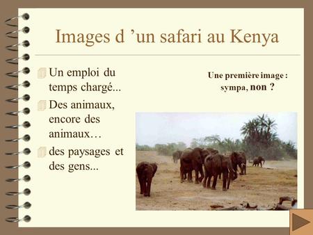 Images d ’un safari au Kenya