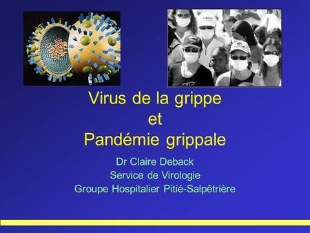 Virus de la grippe et Pandémie grippale