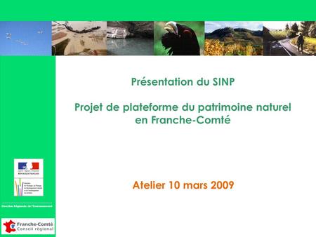 Direction Régionale de l’Environnement DIRECTION REGIONALE DE L’ENVIRONNEMENT FRANCHE-COMTE Présentation du SINP Projet de plateforme du patrimoine naturel.