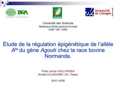 Étude de la régulation épigénétique de l’allèle A br du gène Agouti chez la race bovine Normande. Fella Lamia HADJ-RABIA Ahmad OULMOUDEN (Dir. Thèse) 30-01-2009.