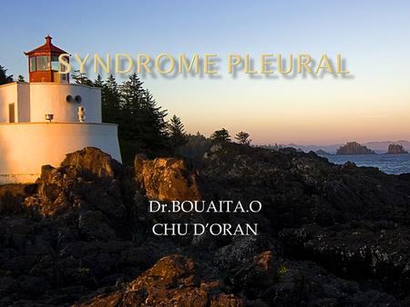 Syndrome pleural Dr.BOUAITA.O CHU D’ORAN.