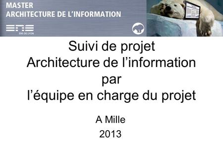 Suivi de projet Architecture de l’information par l’équipe en charge du projet A Mille 2013.
