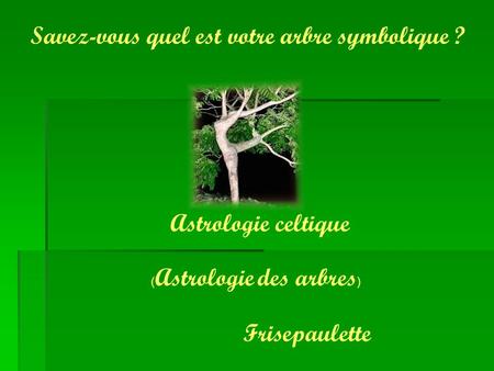 Savez-vous quel est votre arbre symbolique ?