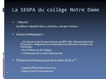 La SEGPA du collège Notre Dame  - Effectif : 65 élèves répartis dans 4 classes, une par niveau :  Equipe pédagogique :  - 3 Professeurs des Ecoles titulaires.