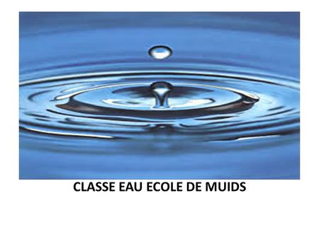CLASSE EAU ECOLE DE MUIDS