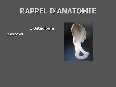 RAPPEL D'ANATOMIE I Ostéologie 1 os coxal.