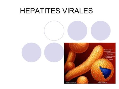 HEPATITES VIRALES.