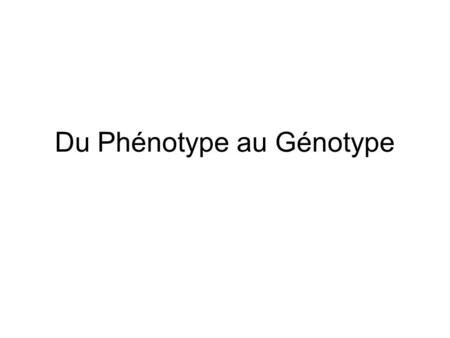 Du Phénotype au Génotype