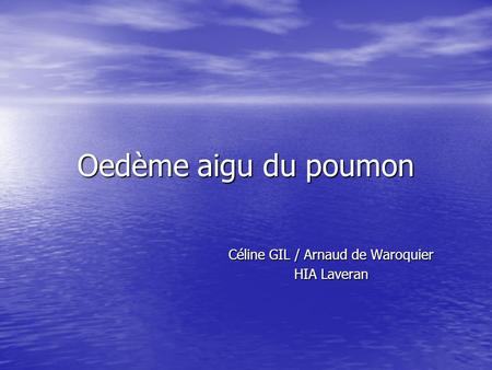 Céline GIL / Arnaud de Waroquier HIA Laveran