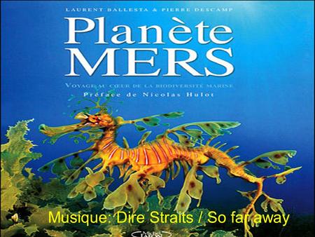 Aia Musique: Dire Straits / So far away.