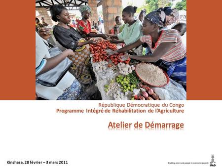 République Démocratique du Congo Programme Intégré de Réhabilitation de l’Agriculture Kinshasa, 28 février – 3 mars 2011.