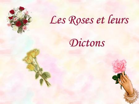 Les Roses et leurs Dictons.