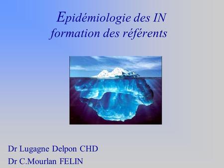 E pidémiologie des IN formation des référents Dr Lugagne Delpon CHD Dr C.Mourlan FELIN.