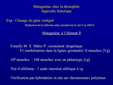 Mutagenèse chez la drosophile