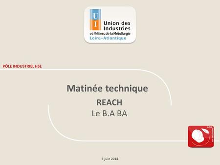 PÔLE INDUSTRIEL HSE Matinée technique REACH Le B.A BA 5 juin 2014.