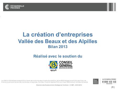 P1 La création d’entreprises Vallée des Beaux et des Alpilles Bilan 2013 Réalisé avec le soutien du Direction des Etudes et de la Stratégie du Territoire.