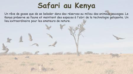 Un rêve de gosse que de se balader dans des réserves au milieu des animaux sauvages. Le Kenya préserve sa faune et maintient des espaces à l'abri de la.