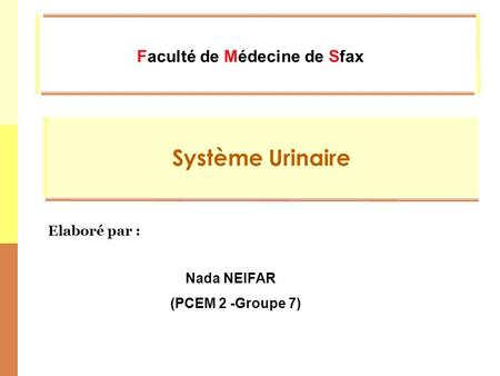 Système Urinaire Faculté de Médecine de Sfax Elaboré par : Nada NEIFAR