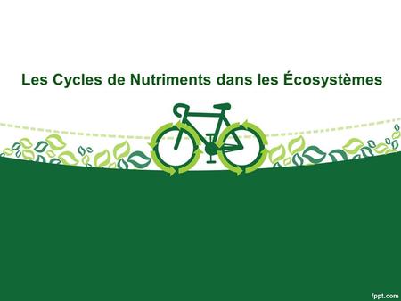 Les Cycles de Nutriments dans les Écosystèmes