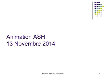 Animation ASH 13 Novembre 2014