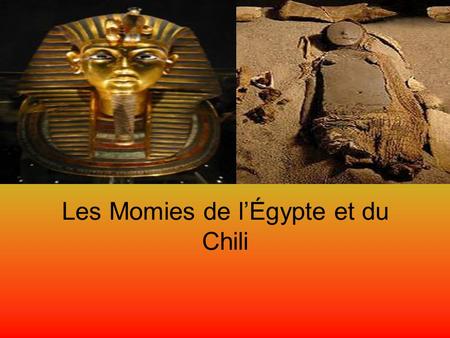 Les Momies de l’Égypte et du Chili. Les Mommies de l’Égypte et du Chili Les Égyptiens ont mommifié leurs citoyens, et parfois des animaux. Ils avaient.