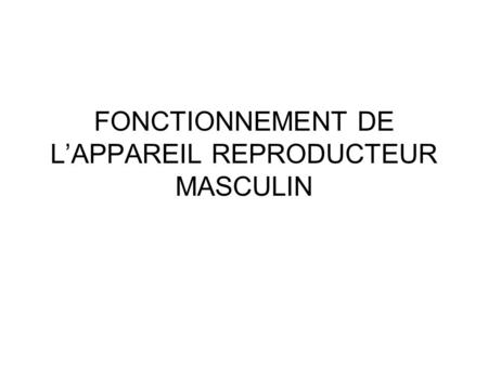 FONCTIONNEMENT DE L’APPAREIL REPRODUCTEUR MASCULIN