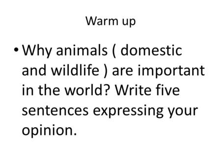 Warm up Why animals ( domestic and wildlife ) are important in the world? Write five sentences expressing your opinion.