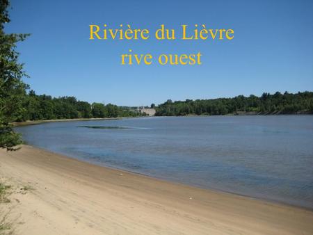 Rivière du Lièvre rive ouest.